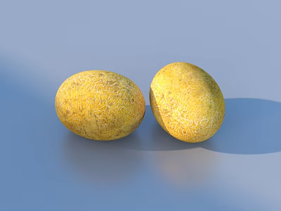 Two Fresh Yellow Cantaloupe Fruits With Textured Skin On Blue Background 3d model