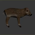 Realistic 3D Model of Brown Striped Wild Boar Standing on Gray Background