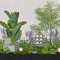 Lush Garden with Large Leaf Plants Purple Flowers Green Shrubs and Decorative Lights