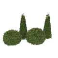 Lush Green Garden Topiary Shrubs with Spherical and Conical Shapes for Landscaping