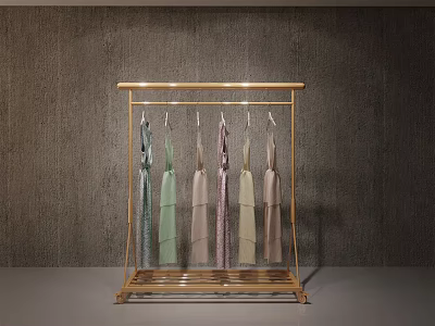 Gold Modern Clothes Rack With Hanging Dresses On Gray Textured Wall Background 3d model