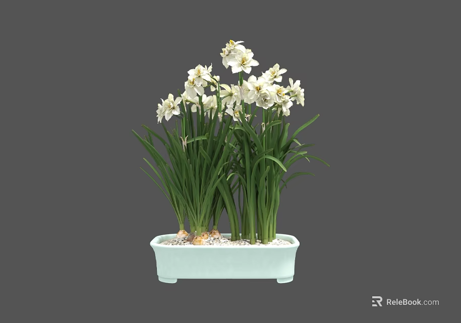 Elegant Fresh Blooming White Flowers with Green Long Leaves in Light Blue Rectangular Planter 3d model 