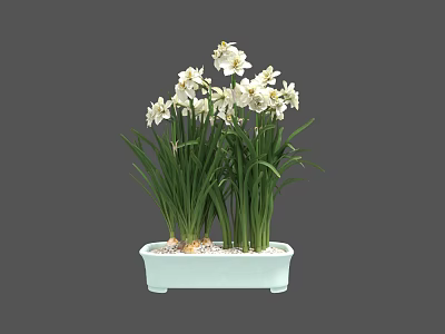 Elegant Fresh Blooming White Flowers with Green Long Leaves in Light Blue Rectangular Planter 3d model