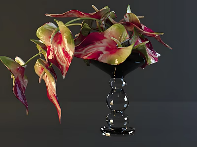 Colorful Plants with Red and Green Variegated Leaves Arranged in Black Transparent Glass Vase 3d model