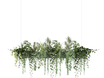 Hanging Basket Plants With Lush Green Foliage And Trailing Vines For Indoor Home Decor 3d model