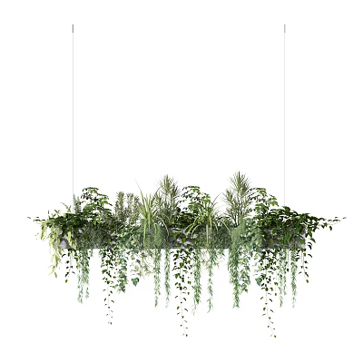 Hanging Basket Plants With Lush Green Foliage And Trailing Vines For Indoor Home Decor 3d model