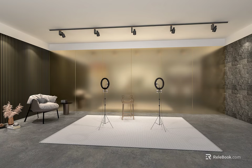 Modern Studio Setup With Ring Lights Track Lights Chair Gold Wall And Rug 3d model 