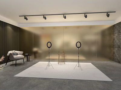 Modern Studio Setup With Ring Lights Track Lights Chair Gold Wall And Rug 3d model