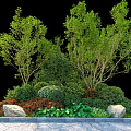 Vibrant Mixed Shrubs in Garden Landscape with Lush Foliage and Ornamental Stones