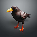 Black Flying Bird with Yellow Beak and Orange Claws Standing on Gray Background