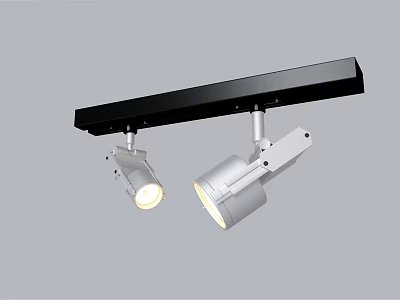 Track Mounted Downlights And Spotlights Lighting Fixture With Black Track Silver Adjustable Heads 3d model
