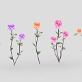 Beautiful Multicolored Flowers With Pink Purple Orange Blooms And Green Leaves