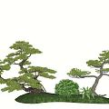 Elegant Green Leafy Trees With Graceful Branches Lush Bushes And Fresh Grass