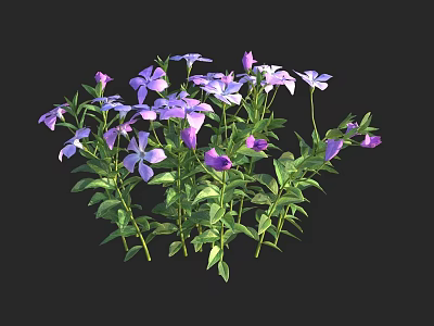 Vibrant Clusters of Purple Flowers with Fresh Green Leaves and Blooming Plants 3d model