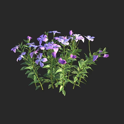 Vibrant Clusters of Purple Flowers with Fresh Green Leaves and Blooming Plants 3d model