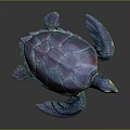 Modern Turtle Cartoon Turtle 3d model