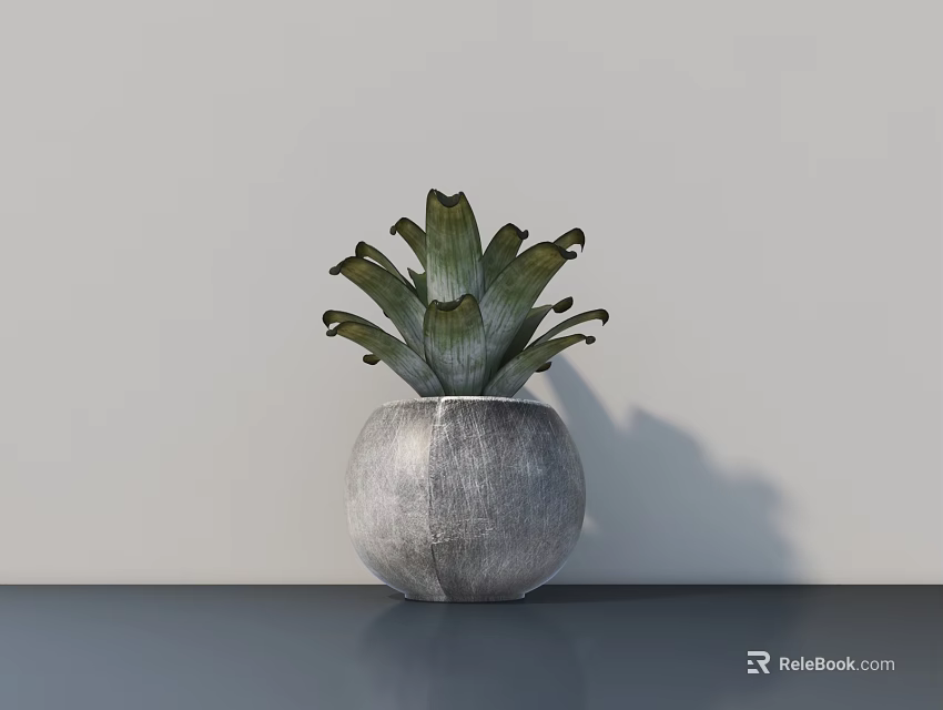 Green Leafy Potted Plant In Textured Gray Pot On Dark Table With Light Wall Background 3d model 