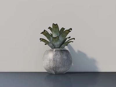 Green Leafy Potted Plant In Textured Gray Pot On Dark Table With Light Wall Background 3d model