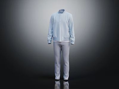 Light Blue Zipper Front Long Sleeve Jacket With Light Gray Pants Outfit 3d model