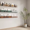 Modern Acrylic Wall-mounted Bookshelf Wall Storage Rack Books and Magazines Decorative Rack Record Storage Rack 3d model
