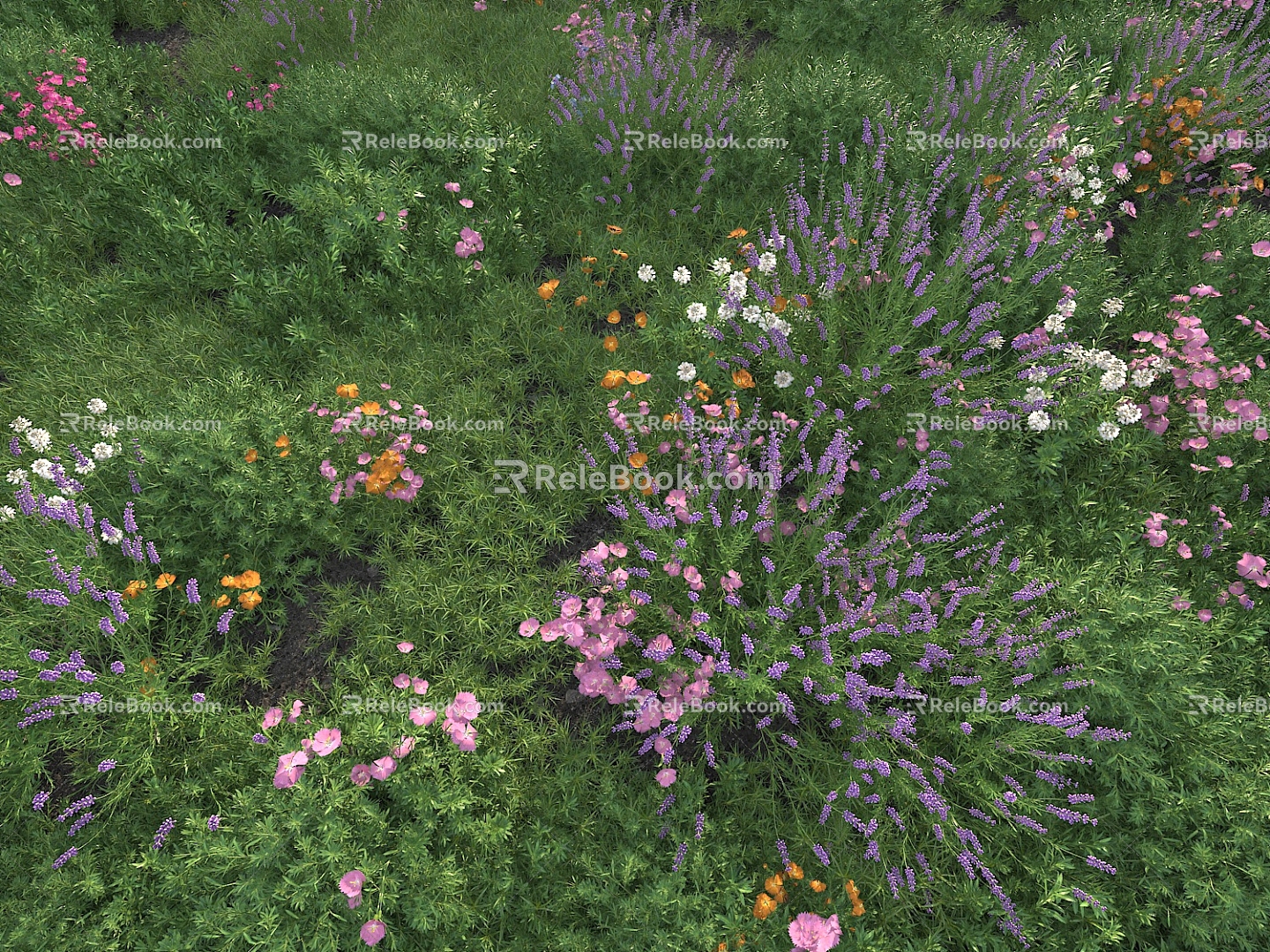 Flowers and plants 3d model