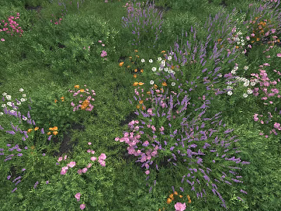 Garden Decorative Lights Illuminating Colorful Flower Field With Purple Pink White Orange Blooms And Green Grass 3d model