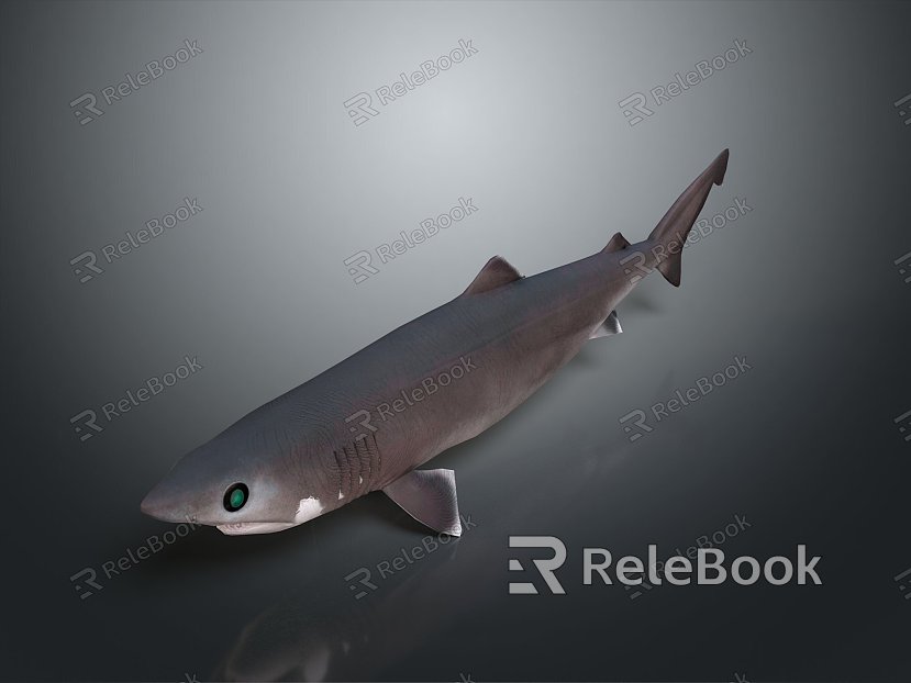 whale cartoon whale mammal marine mammal marine animal fish freshwater fish marine fish model