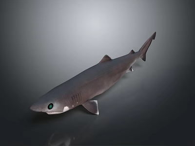 3D Rendered Shark With Gray Body Green Eyes Fins And Tail Against Gray Background 3d model