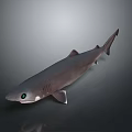 3D Rendered Shark With Gray Body Green Eyes Fins And Tail Against Gray Background