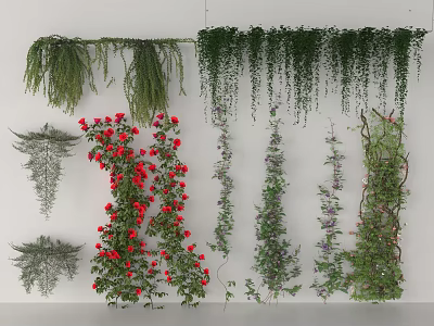 Various Decorative Indoor Vines With Green Hanging Red Rose And Climbing Plant Varieties 3d model