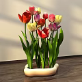 Colorful Floral Display With Red Yellow Purple Tulips In Unique Ceramic Pot On Wooden Table