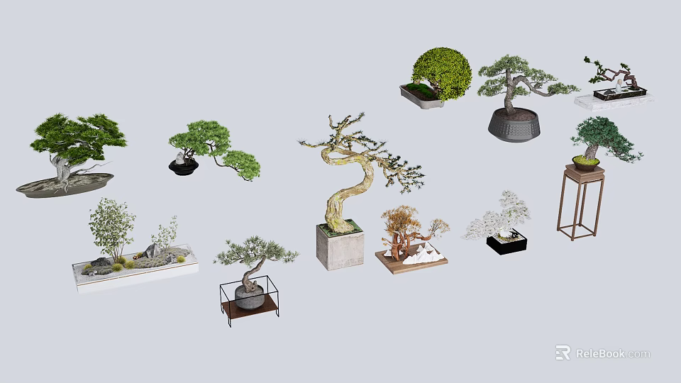 Diverse Bonsai Plants with Various Styles and Decorative Containers for 3d model
