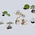 Diverse Bonsai Plants with Various Styles and Decorative Containers for 3d model