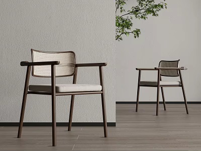 Modern Leisure Chairs Wooden Frame Woven Backrest Light Colored Cushion By Gray Wall Green Plant 3d model