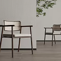 Modern Leisure Chairs Wooden Frame Woven Backrest Light Colored Cushion By Gray Wall Green Plant