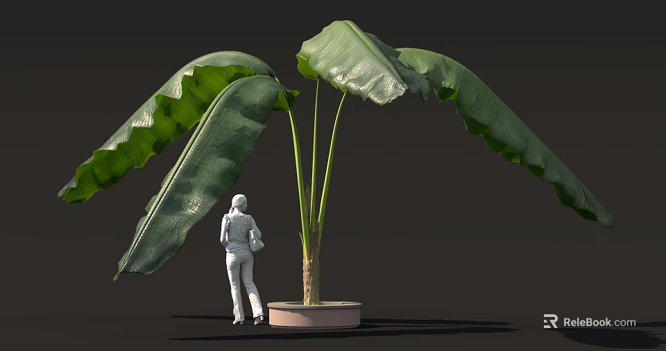 White Figure Standing Next to Large Leaf Potted Plant on Dark Background 3d model 