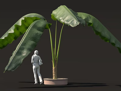 White Figure Standing Next to Large Leaf Potted Plant on Dark Background 3d model