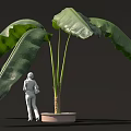 White Figure Standing Next to Large Leaf Potted Plant on Dark Background
