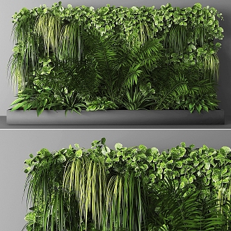 Plant wall 3d model