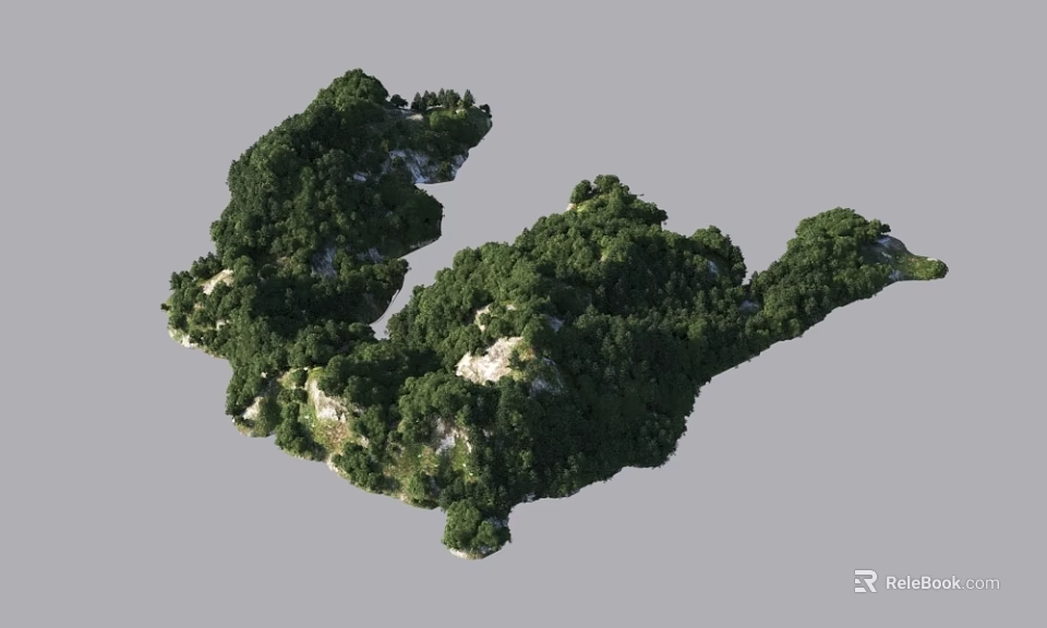Lush Garden Landscape Design With Dense Greenery And Natural Rock Outcrops 3d model 