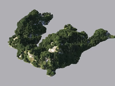 Lush Garden Landscape Design With Dense Greenery And Natural Rock Outcrops 3d model