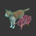 Orange and white cat dragging red plaid toy with red gloves on dark surface