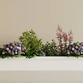 Fresh Flowers And Foliage On White Shelf With Purple White Spherical Blooms Pink Slender Stems