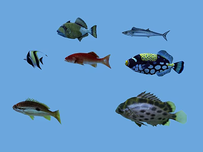 Aquatic Animals Featuring Various Colorful Fish Species Swimming In Blue Water 3d model