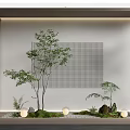 Modern Indoor Garden Decor With Small Trees Ferns Moss Stones And Pebbles