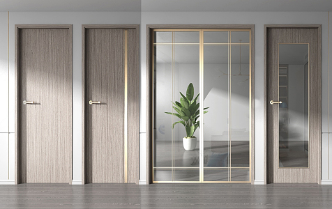 Modern door combination 3d model