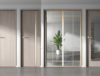 Modern door combination 3d model