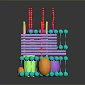 Modern Colorful Household Supplies With Colored Poles And Storage Balls Design