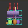 Epidermal cross section Skin planing Facial subdermal tissue Skin tissue Human skin tissue Human skin 3d model