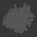 Detailed Realistic Arbor Featuring Lush Green Foliage and Sturdy Trunk on Black Backdrop